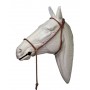Presentation Bridle Lexhis With Chain And Branch Brown Cob