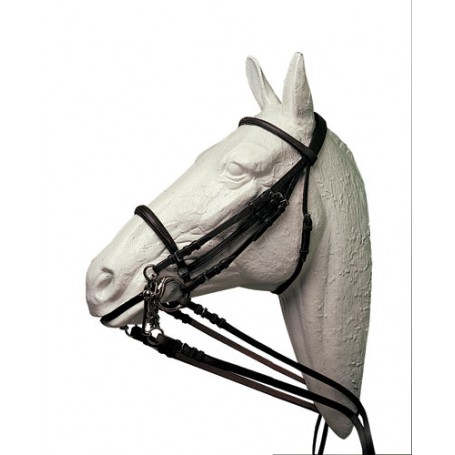 Bridle Hh Double Bridle Double Bridle Articulated Noseband