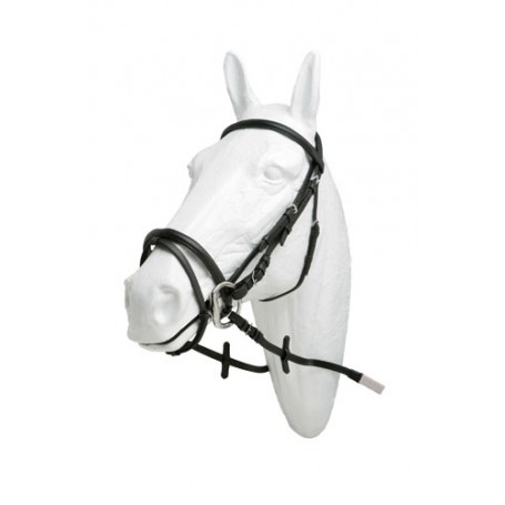 Bridle Lexhis Tipo Pessoa Brown Full Canvas Reins