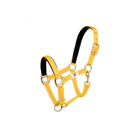 Cuadra Bridle Hh Nylon Double with Synthetic Leather Reinforcement and Carabiner
