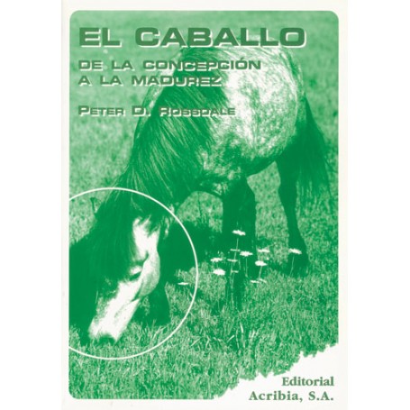 Book El Horse, from conception to maturity