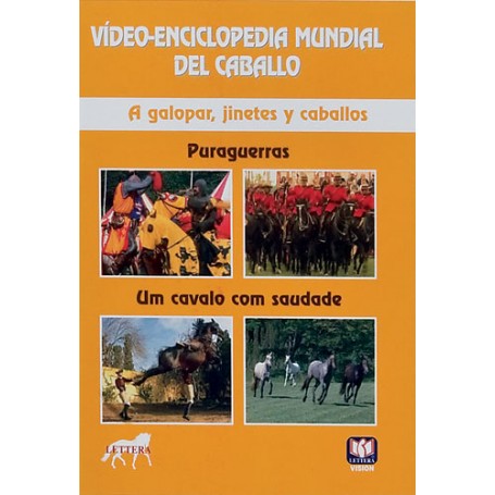 DVD: World Horse Video Encyclopedia - Galloping, Riders, and Horses. War Horses. Um Cavalo