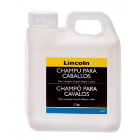 Champu Lincoln Clasico