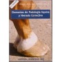 Book Elements Of Equine Podiatry And Corrective Shoeing (2nd Edition)