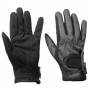 Lexhis Winter Glove (Pair)