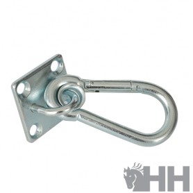 Carabiner With Hh Plate For Wall Mounting