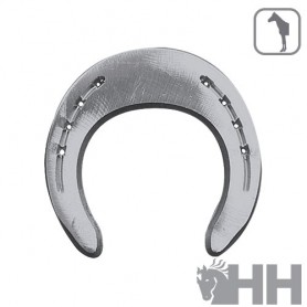 Colleoni Aluminium Horseshoe Faplsbb 2 Front Pins (Pair)