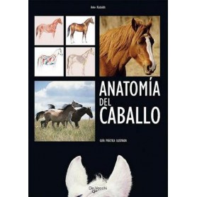 Book Anatomy Of The Horse