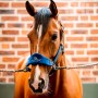 Cabezada Cuadra Horseware Signature Nylon Grooming