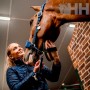 Cabezada Cuadra Horseware Signature Nylon Grooming