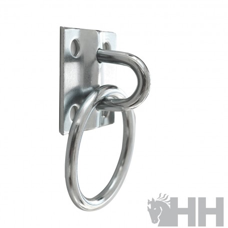 Ring with Plate for Wall Mounting